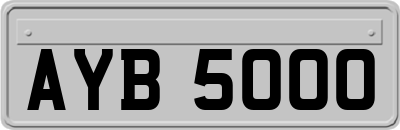 AYB5000