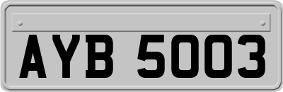 AYB5003