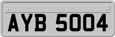 AYB5004
