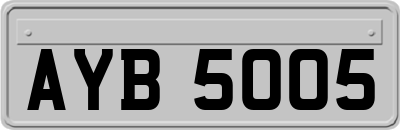 AYB5005