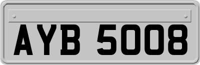 AYB5008
