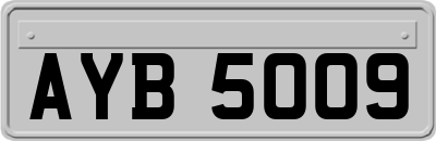 AYB5009