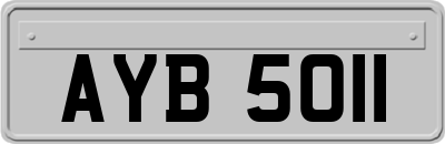 AYB5011