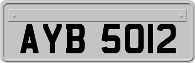 AYB5012