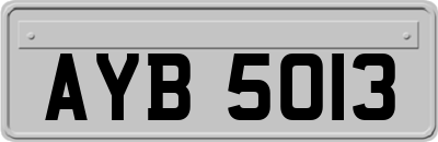 AYB5013