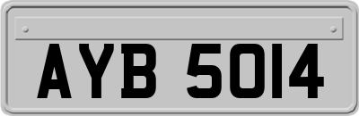 AYB5014