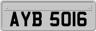 AYB5016
