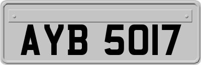 AYB5017