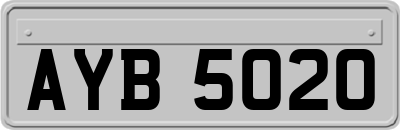 AYB5020
