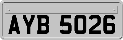 AYB5026