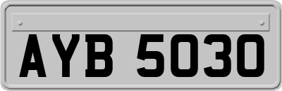 AYB5030