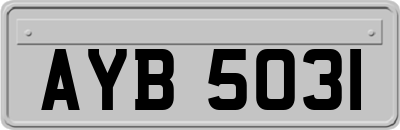 AYB5031