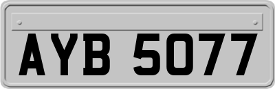 AYB5077