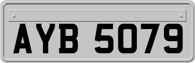 AYB5079