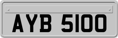 AYB5100