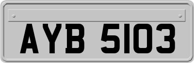AYB5103
