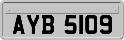 AYB5109