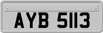 AYB5113