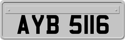 AYB5116