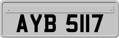 AYB5117
