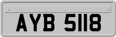 AYB5118