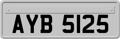 AYB5125