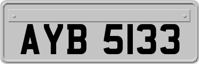 AYB5133