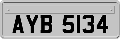 AYB5134