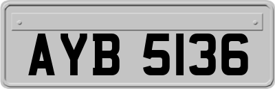 AYB5136