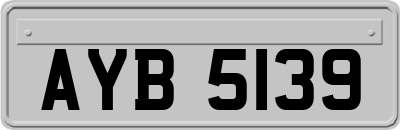 AYB5139