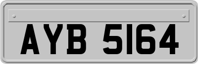 AYB5164