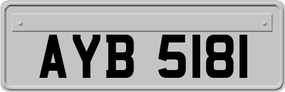 AYB5181