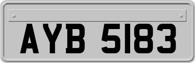 AYB5183