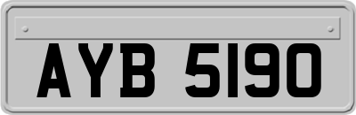 AYB5190
