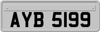 AYB5199