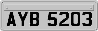 AYB5203