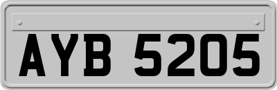 AYB5205