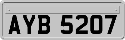 AYB5207