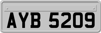 AYB5209