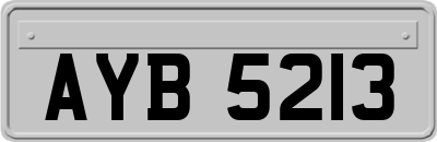 AYB5213
