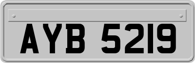 AYB5219
