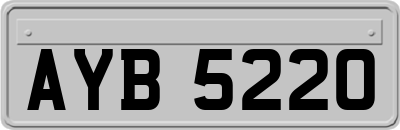 AYB5220