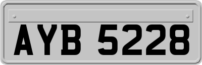 AYB5228