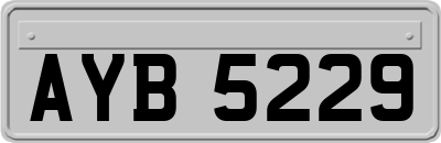 AYB5229