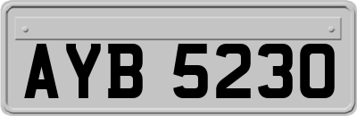 AYB5230