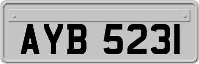 AYB5231
