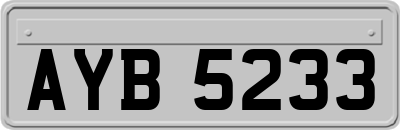 AYB5233