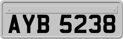 AYB5238