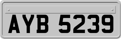 AYB5239
