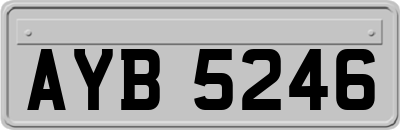 AYB5246